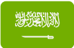 saudi-icon